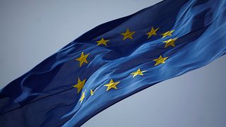 Six ways EU states responded to Brexit