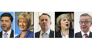 İngiltere'de Cameron'un koltuğuna talip favori adaylar: May ve Leadsom