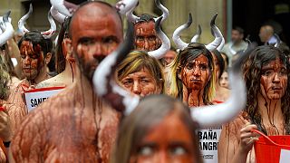 احتجاجات بعنوان "بامبلونا حمام دم" للثيران