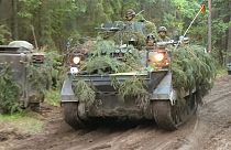 Lituania refuerza su ejército por temor a Rusia