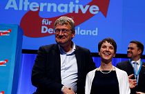 Hatalmi harc az euroszkeptikus német pártban, az AFD-ben