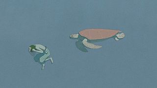 "Die rote Schildkröte" - Ein verspielter, magischer, aquatischer Film