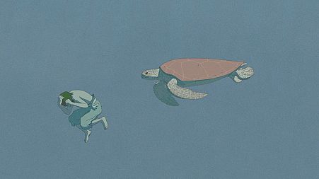 'The Red Turtle': a wordless animated sensation