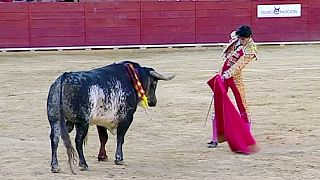 Meghalt egy matador Spanyolországban