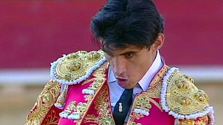 Spagna: torero muore per le ferite in una corrida