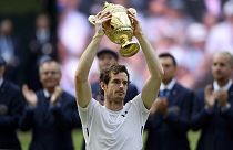 Andy Murray nyert Wimbledonban