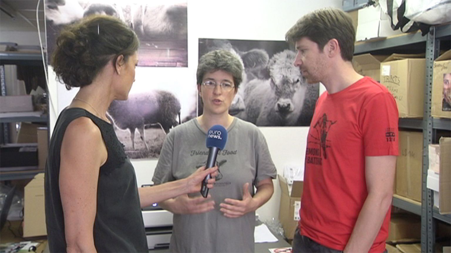 "L'abattage sans étourdissement est la pire des pratiques dans les abattoirs"