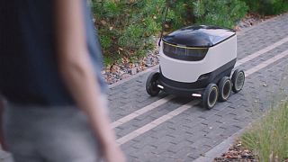 Robô entrega encomendas este verão em Londres Berna e Talim
