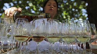 Zuma in France, says South African wine is the best