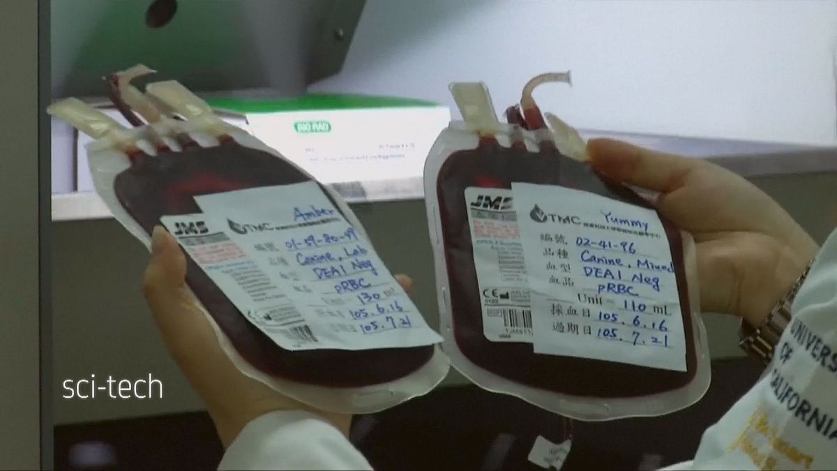 Taiwán abre el primer banco de sangre para perros