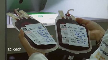 Taiwan animal hospital trials blood donation scheme