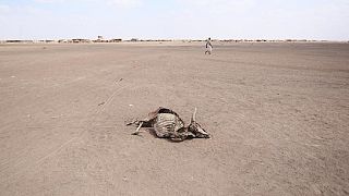 Drought could affect 100 million people - UN