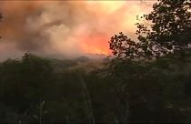 Espanha: Incêndios na Costa del Sol estabilizados