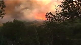 Tourists return to hotels after Costa del Sol wildfires brought under control