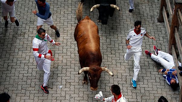 إصابة سبعة أشخاص في اليوم الأخير لمهرجان الركض مع الثيران شمال اسبانيا إصابة سبعة أشخاص في اليوم الأخير لمهرجان الركض مع الثيران شمال اسبانيا