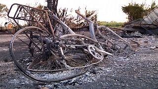 Wildfires brought under control in southern France and Spain