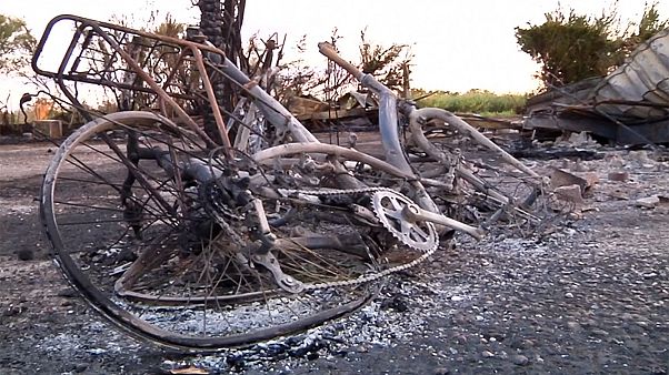 Francia: un incendio obliga la evacuación de unos 3 000 turistas en los Pirineos Orientales Francia: un incendio obliga la evacuación de unos 3 000 turistas en los Pirineos Orientales