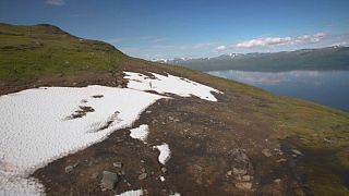 همکاری دانشگران اروپایی برای بررسی زیست بوم نواحی مجاور شمالگان
