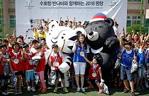 Soohorang e Bandabi são as primeiras estrelas de PyeongChang 2018