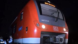 Afghan youth attacks German train passengers with axe