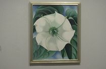 Virágok és messzeség - Georgia O'Keeffe képei Londonban