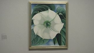 Virágok és messzeség - Georgia O'Keeffe képei Londonban