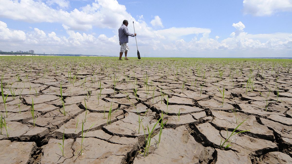 Hot mess: Earth on track for hottest year on record