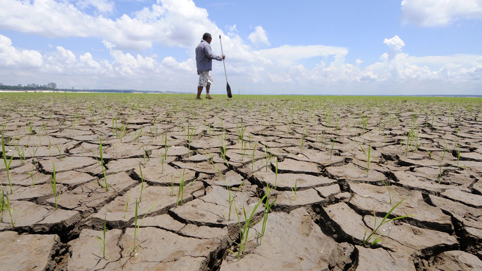 Clima: il 2016 sarà l'anno più caldo della storia