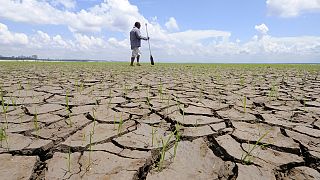 2016: ano mais quente de que há registo numa alteração climática infernal