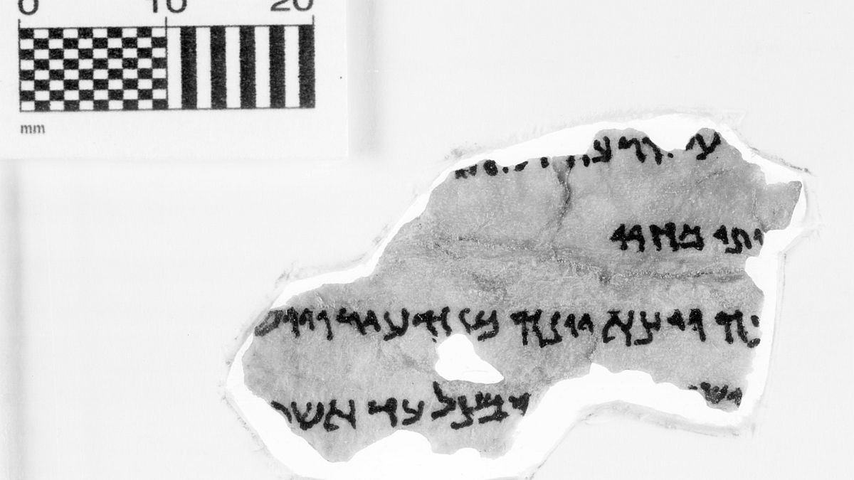 Bible museum withdraws five Dead Sea Scroll fragments as possible fakes