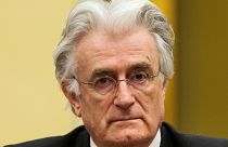 Karadzic appeals war crimes conviction