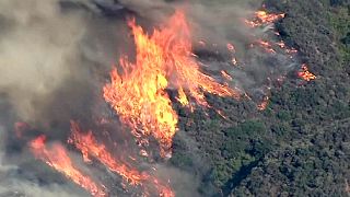 Firefighters battle fast-moving California wildfire