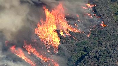 Les flammes de "Sand Fire" ravagent la Californie