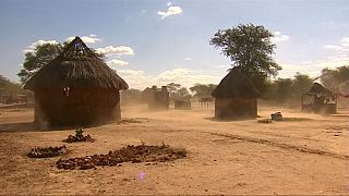 Le Zimbabwe victime d'une grave sécheresse