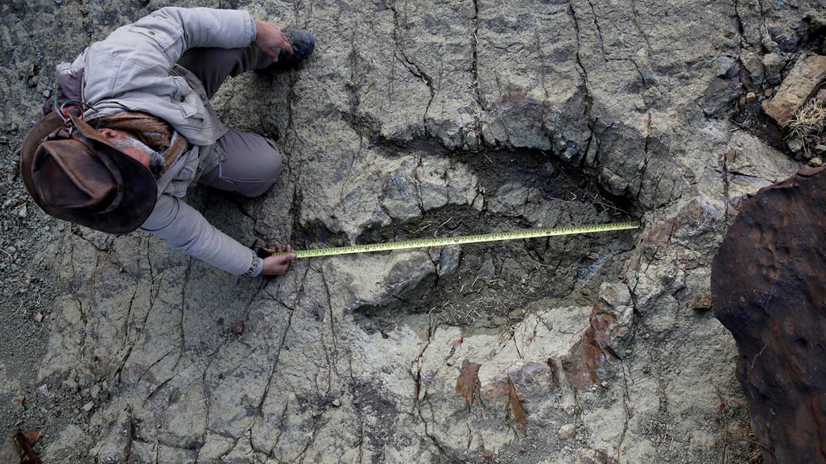 Βρέθηκε μια από τις μεγαλύτερες πατημασιές δεινόσαυρου