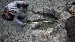 Βρέθηκε μια από τις μεγαλύτερες πατημασιές δεινόσαυρου