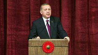 Turkey's Erdogan drops 'insult' lawsuits and condemns West