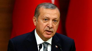 German-Turkish relations 'bumpy' after Erdogan speech ban