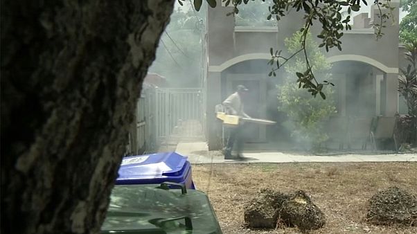 Alarma en el estado de Florida por la aparición de nuevos casos del virus zika Alarma en el estado de Florida por la aparición de nuevos casos del virus zika