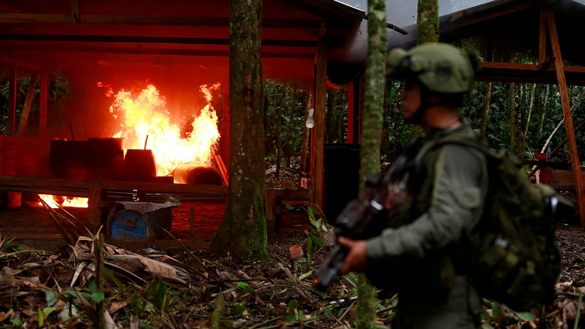 Dzsungelbeli kokainlaborokat semmisítettek meg Kolumbiában