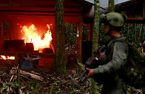 Kolumbien: Mehr als 100 Kokain-Labore zerstört