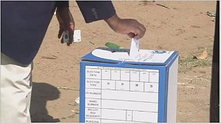 South Africans head to the polls in key municipal elections