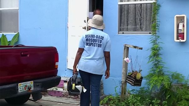 Zika, nuovi casi sospetti a Miami. Inefficaci gli insetticidi vs zanzara vettore Zika, nuovi casi sospetti a Miami. Inefficaci gli insetticidi vs zanzara vettore