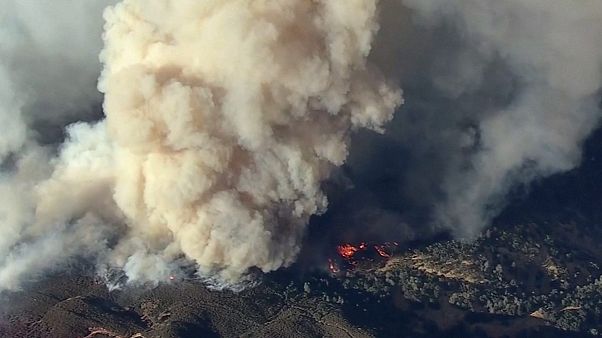 Waldbrände in Kalifornien so großflächig wie 2.200 Fußballfelder Waldbrände in Kalifornien so großflächig wie 2.200 Fußballfelder