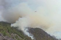 Muere un agente forestal en un incendio en la isla de La Palma que afecta a casi 2.000 hectáreas