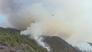 Wildfire claims life in Canary Islands