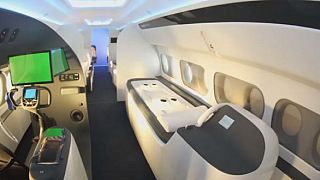 Plane maker creates custom-made jet for sportsmen