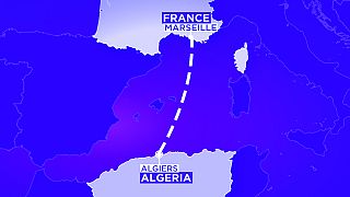 Radarda bir süre kaybolan Cezayir uçağı güvenli iniş yaptı