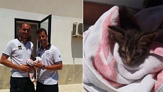 Un chaton ramené à la vie par des gardes-côtes italiens