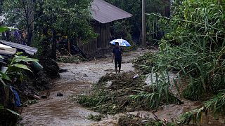 Μεξικό: «Σαρώνει» η τροπική καταιγίδα Έρλ - 40 νεκροί